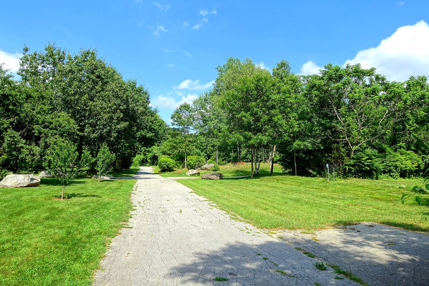 A paved park road through green grounds at Benson Park in Hudson
