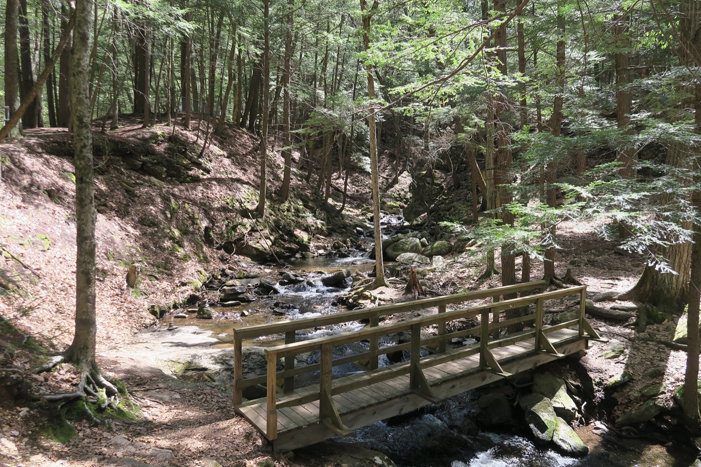 Footbridge and forest along Wild Brook at Chesterfield Gorge