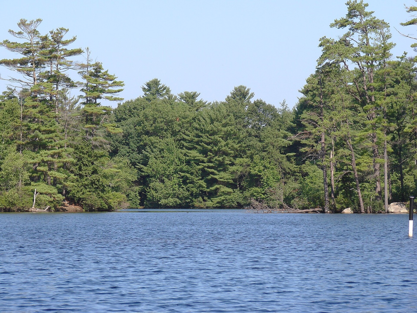 Pawtuckaway Lake bordered by pine and deciduous forest